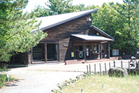 都市のなかにあって自然と触れ合える生態園