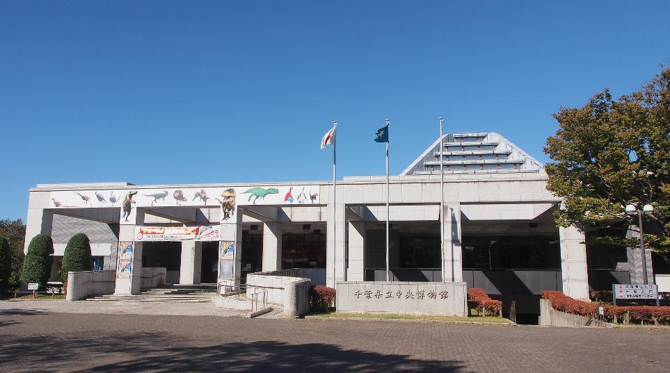 モダンな外観の1日中楽しめる博物館