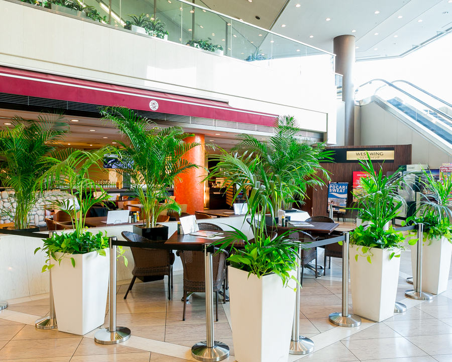 グリーンに囲まれ、開放感溢れるテラス席