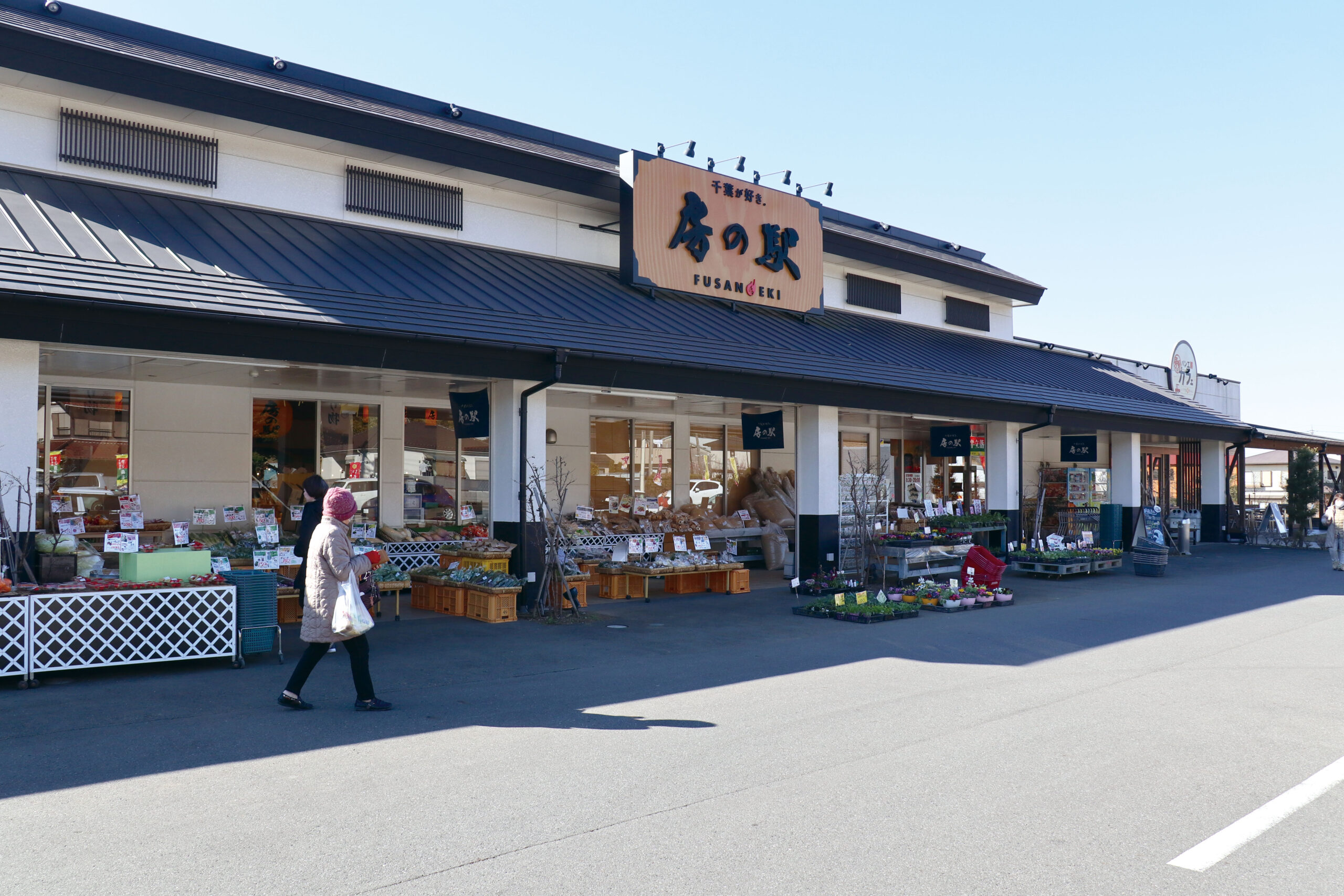 店頭には旬の千葉県産野菜・果物がズラリ！