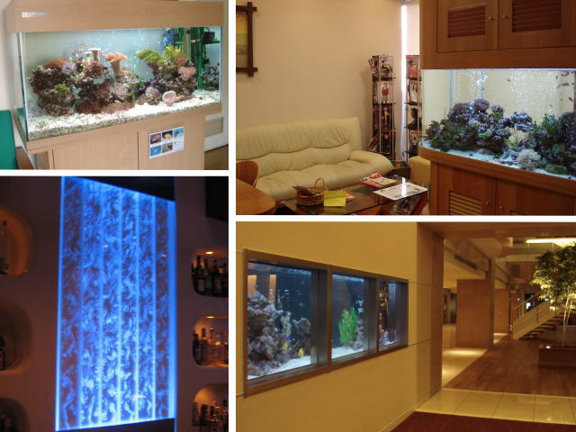 小さい水槽から大きな水槽まで