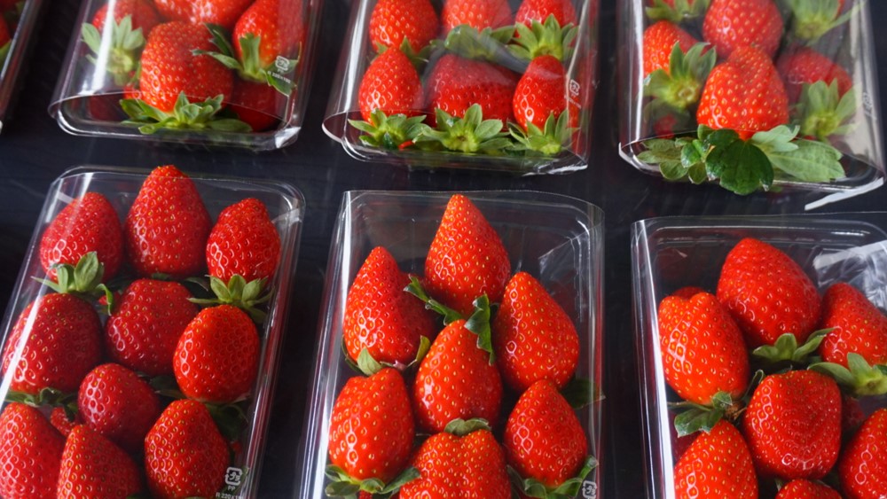 こだわりのイチゴをご堪能ください！