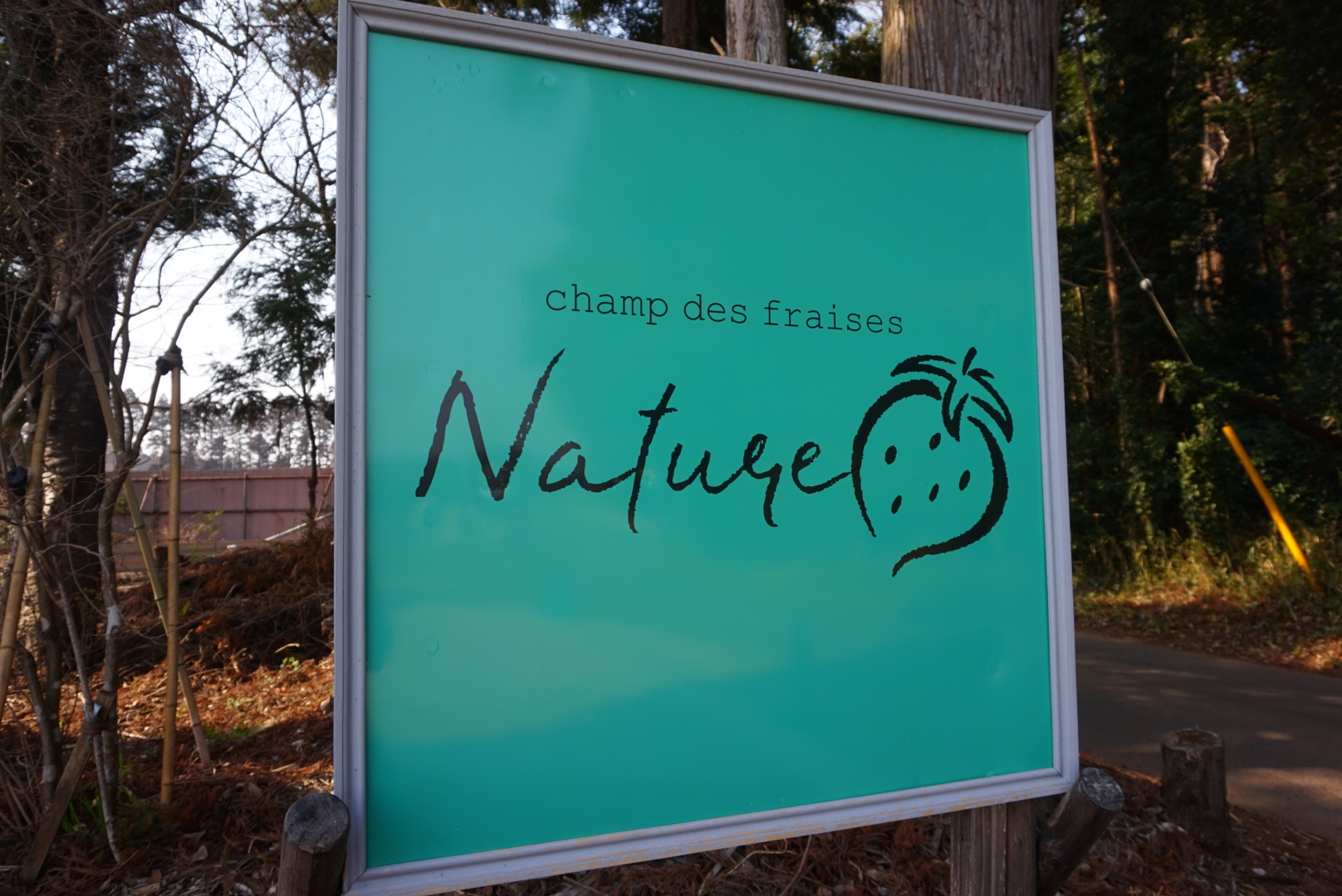 こちらの看板が目印