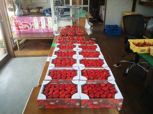 おみやげ・ご贈答に！