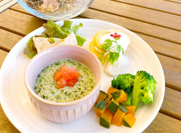 毎月11日はワンコの日！