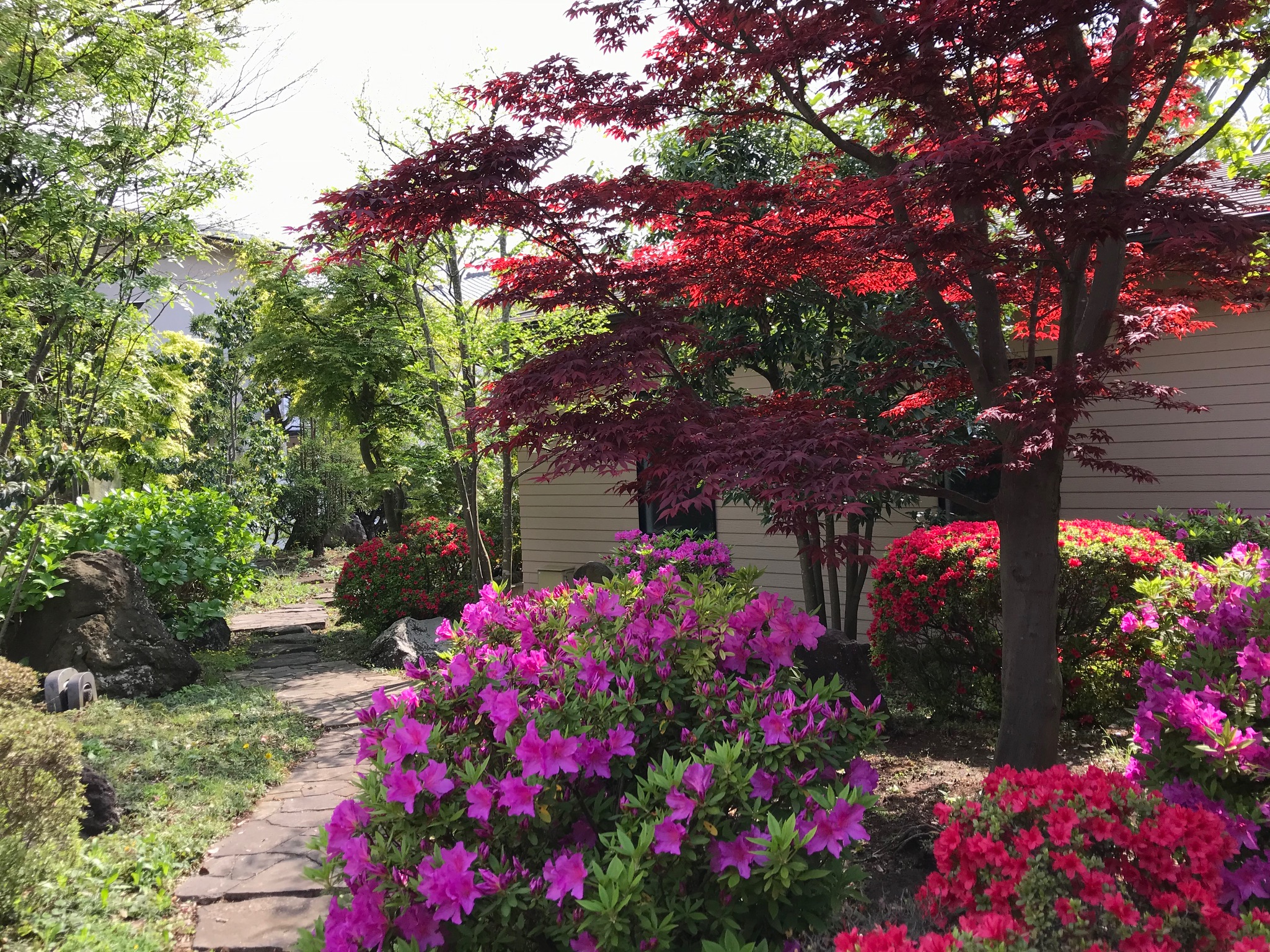 境内の庭の様子