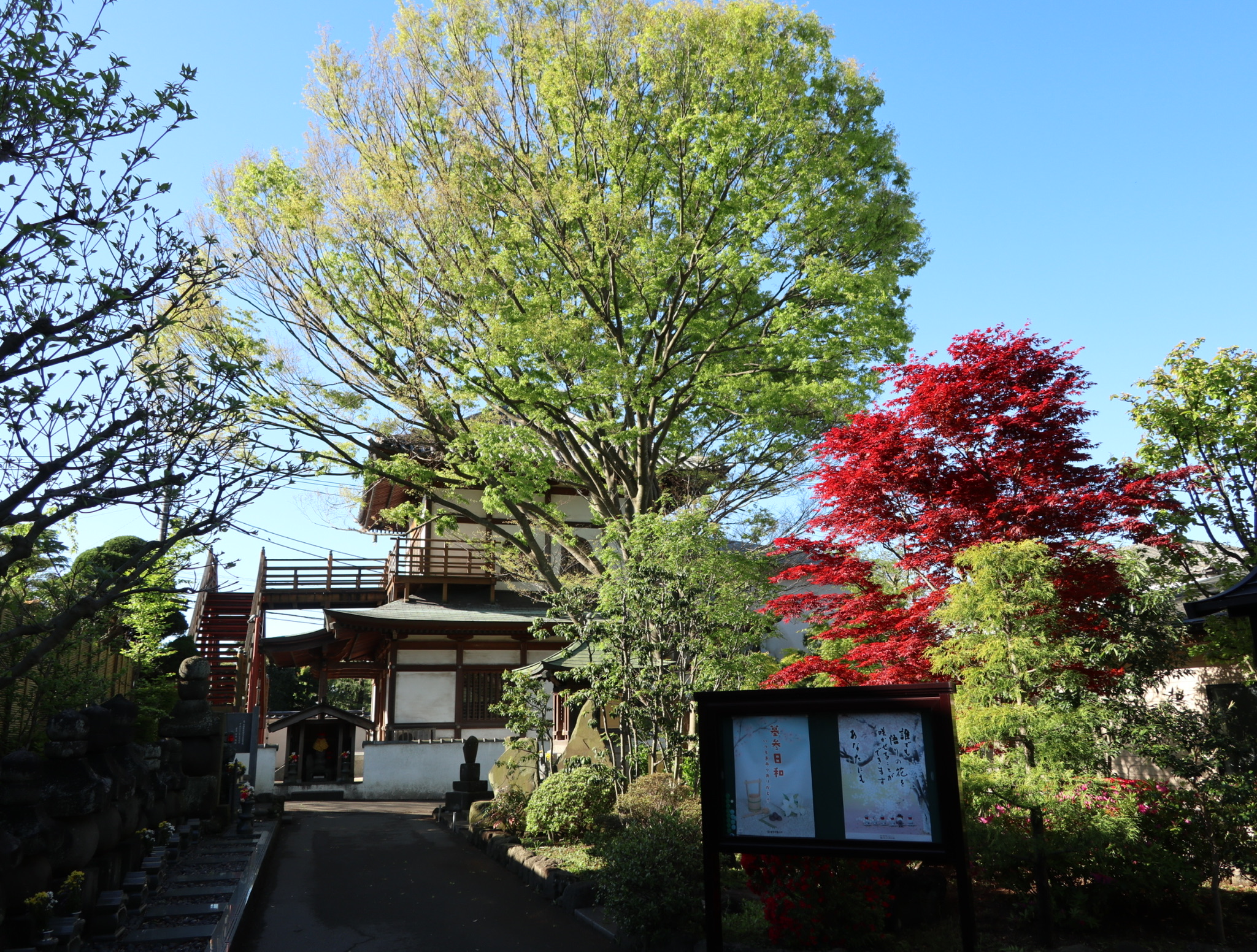 朝方の境内の様子