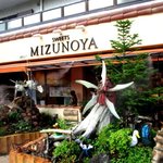 遊びゴコロいっぱいの庭も必見！