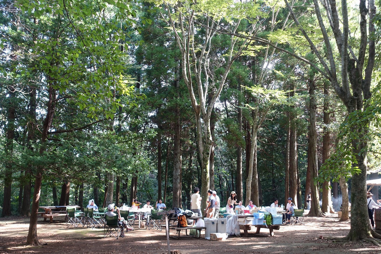 自然のパワーを感じながら思いっきり遊ぼう！
