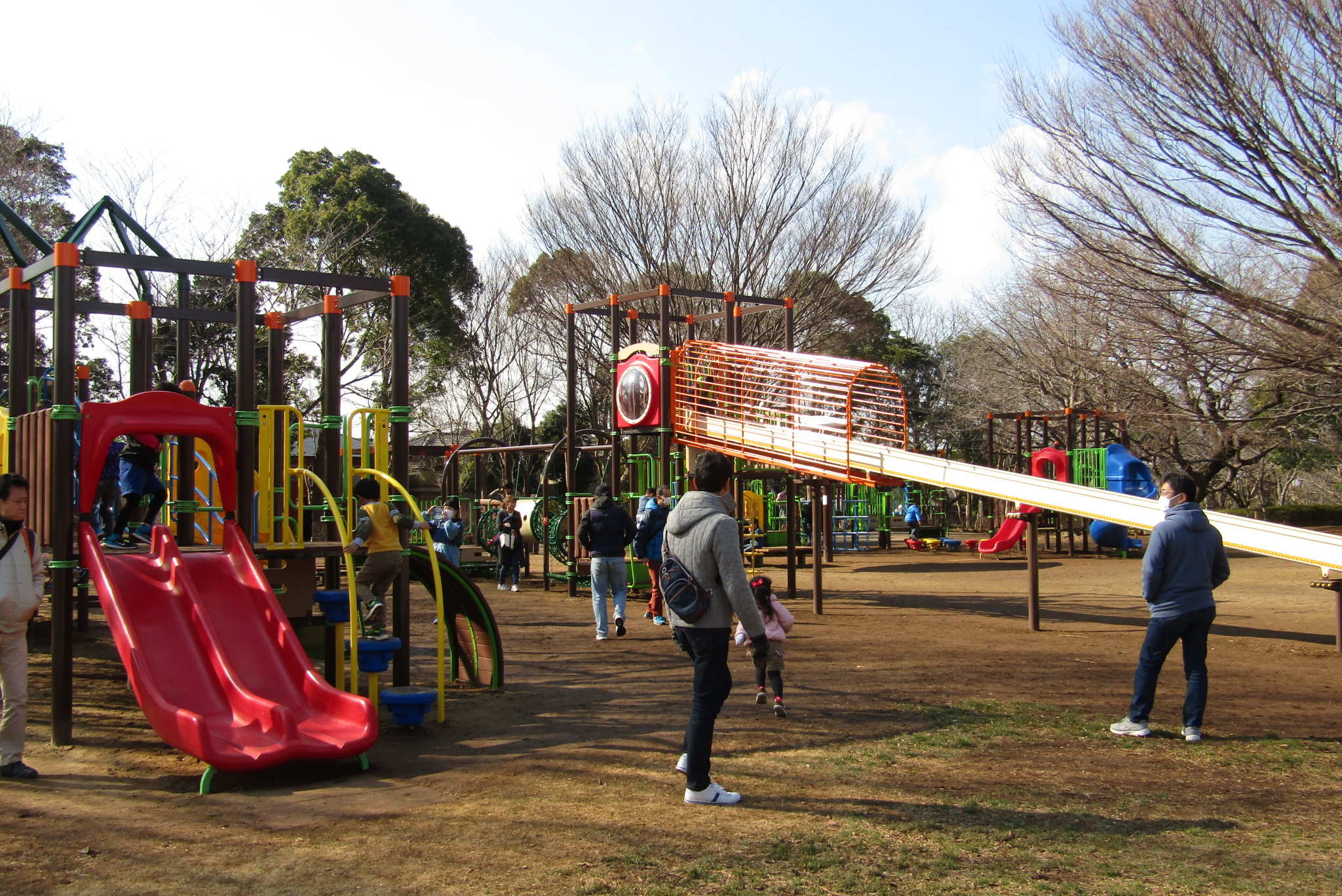 遊具や自然の森で体を使って遊ぼう