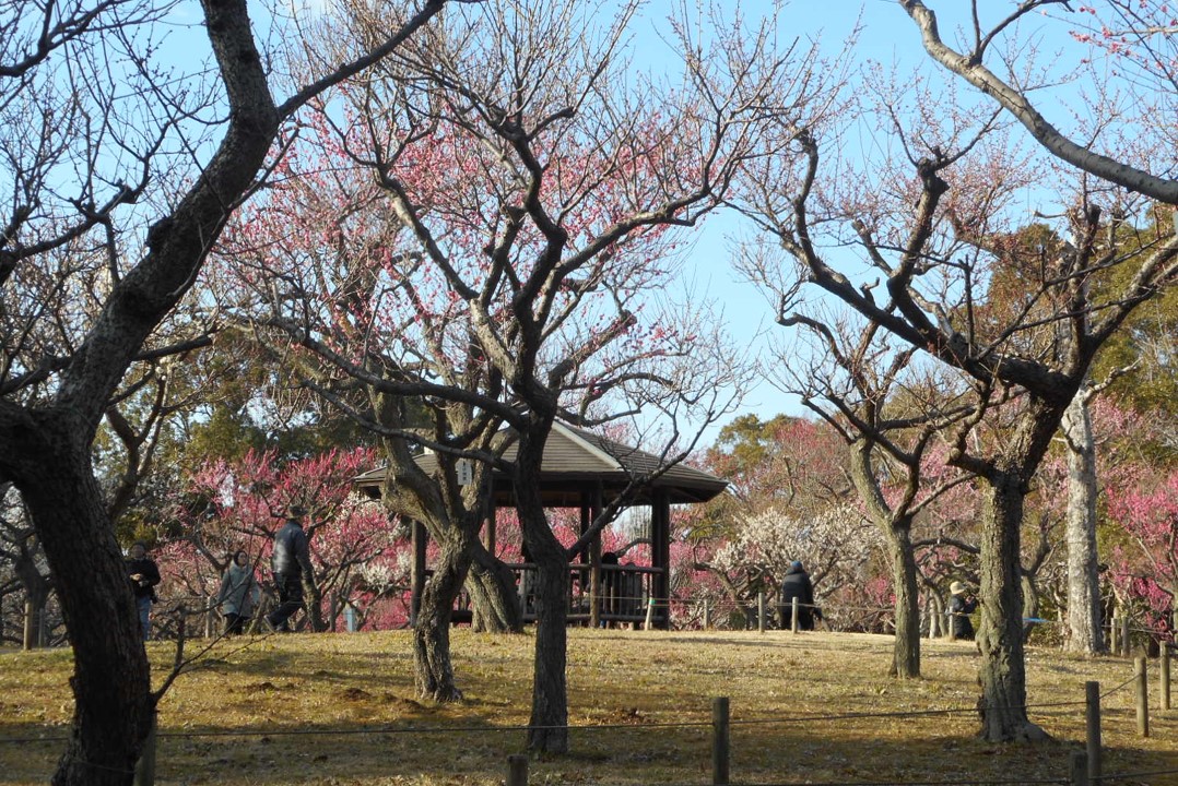 緑と調和した文化の香り高い公園