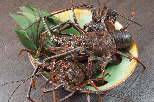 海鮮料理もお楽しみください！