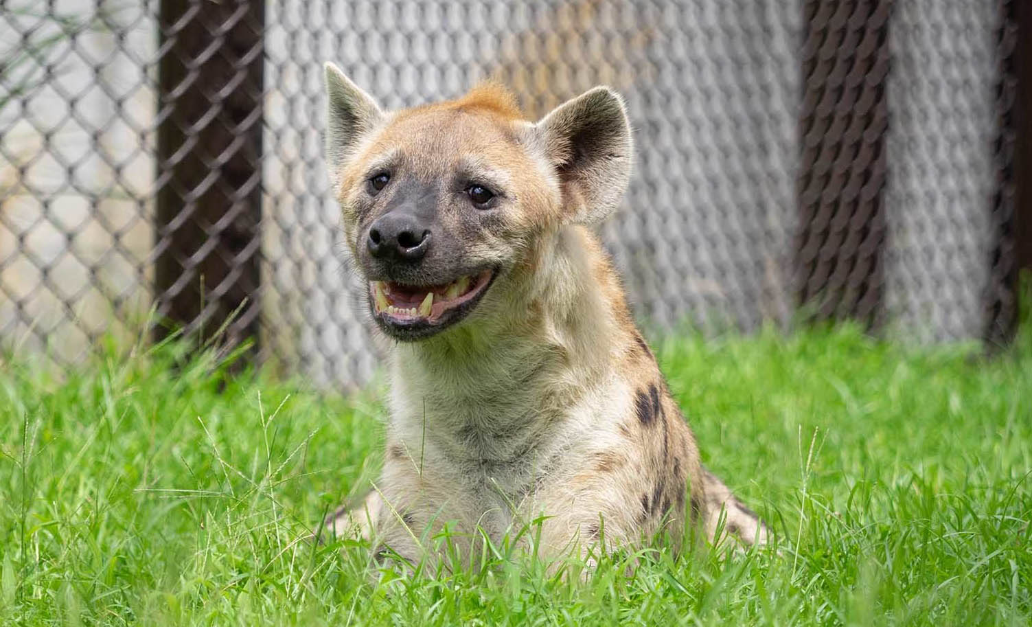 千葉市動物公園