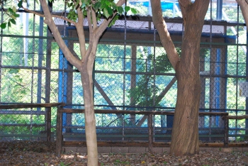 ゲンジボタル産卵小屋