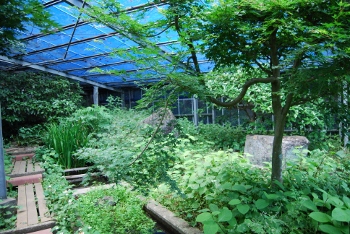 ゲンジボタル人工飼育場