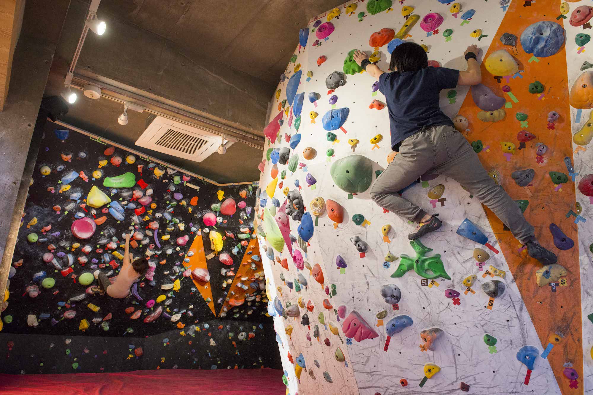 ボルダリングジム登攀道場