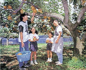 柏井レジャー農園