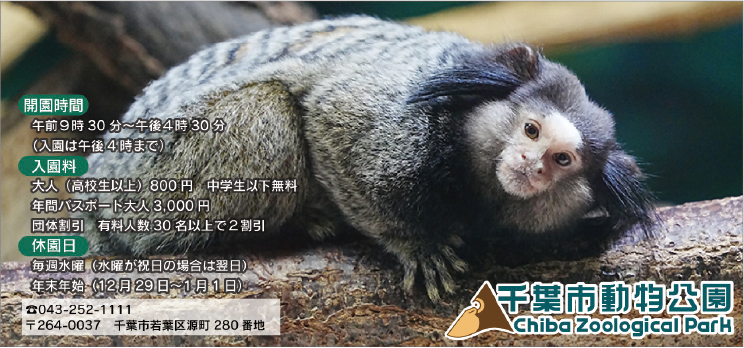 千葉市動物公園