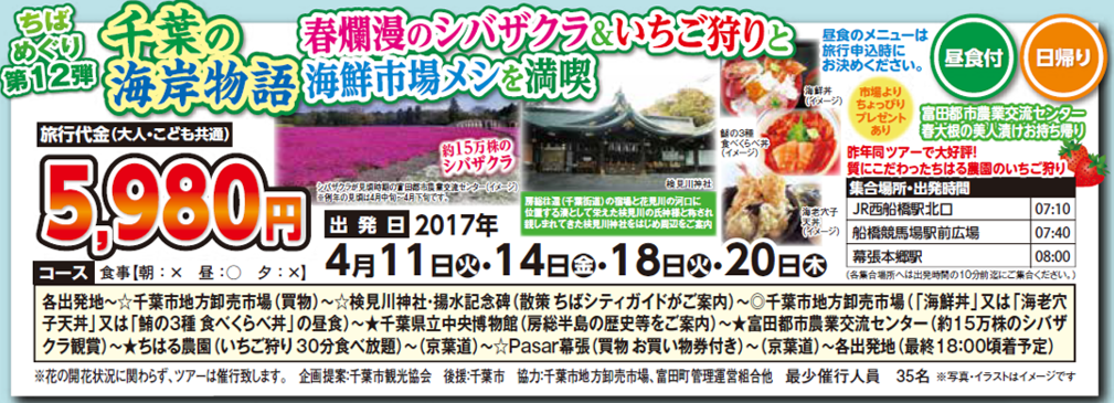千葉の海岸物語～春爛漫シバザクラ＆いちご狩りと海鮮市場メシを満喫～