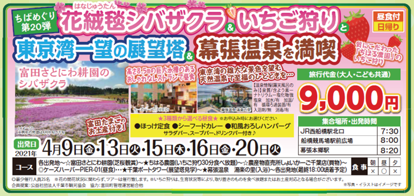 花絨毯シバザクラ＆いちご狩り 東京湾一望の展望塔＆幕張温泉を満喫