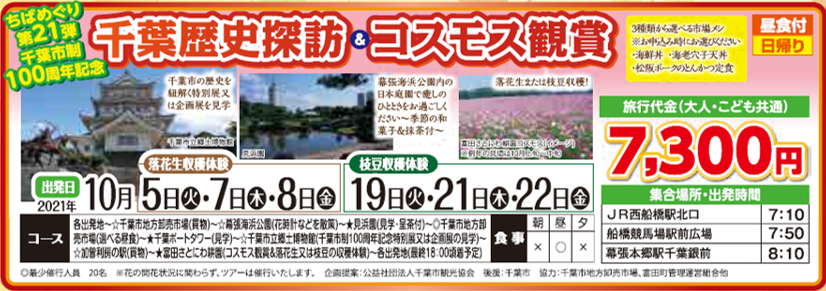 千葉歴史探訪＆コスモス観賞