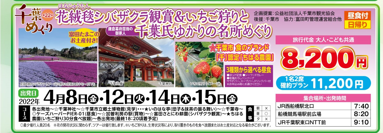 花絨毯シバザクラ観賞＆いちご狩りと千葉氏ゆかりの名所めぐり