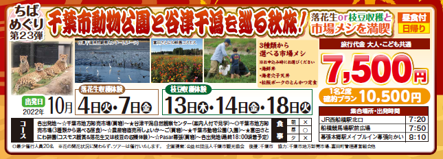 秋の千葉めぐり 千葉市動物公園と谷津干潟を巡る秋旅！ ~落花生 or 枝豆収穫と市場メシ満喫~