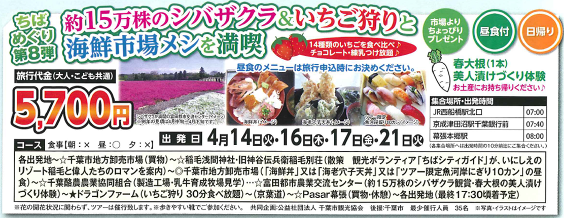 約15万株のシバザクラ＆いちご狩りと海鮮市場メシを満喫