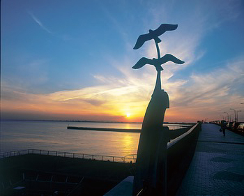 美浜大橋（中央付近）