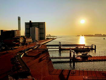 ケーズハーバー