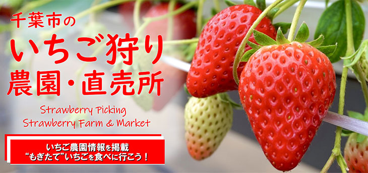 イチゴ農園に行こう！2024