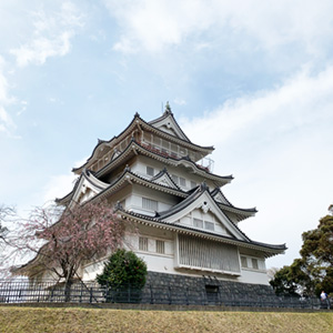 都心エリア1コース概要