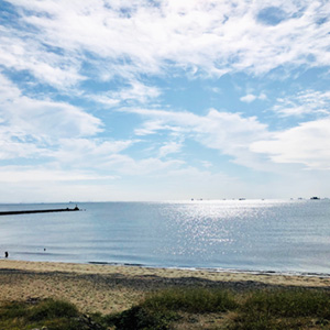 自転車でめぐる海辺エリアコース概要