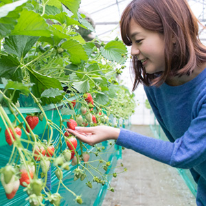 自然と味覚満喫コース