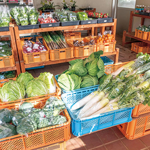 農産物直売所