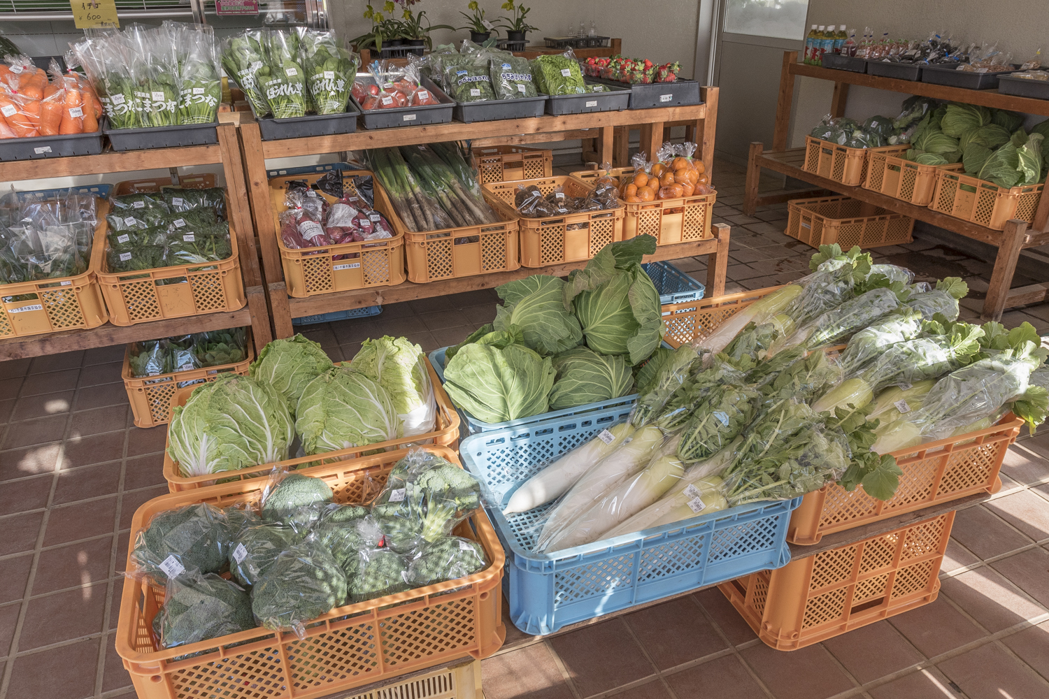 （一社）千葉市園芸協会 直売所