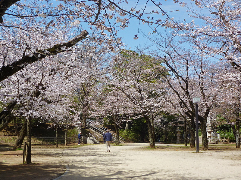 亥鼻公園