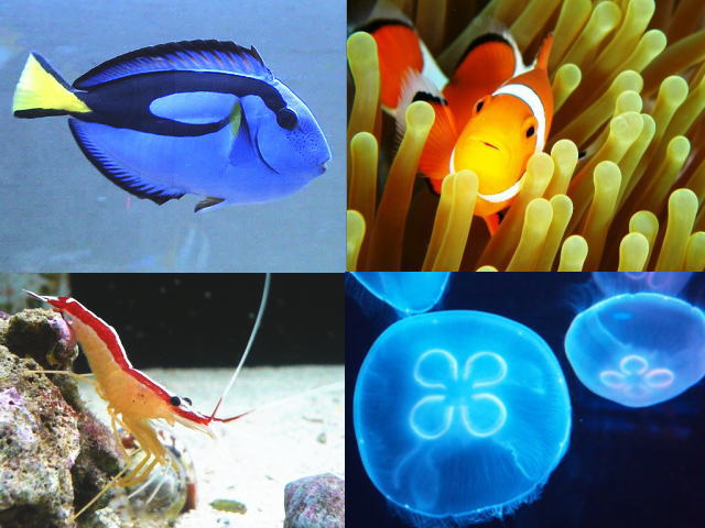 株式会社ハンズ