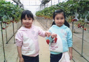 フルーツランドとけ 中村農園（とけのいちご）