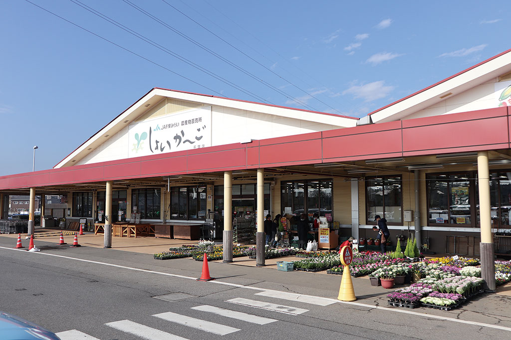 しょいか～ご千葉店