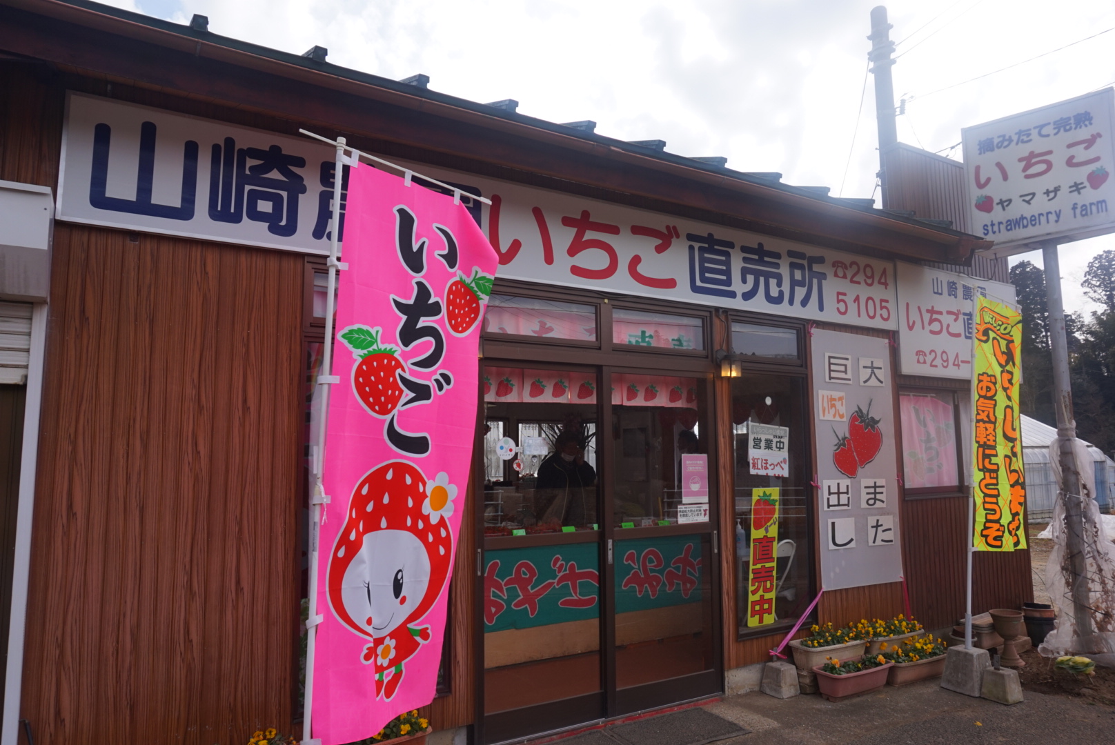 フルーツランドとけ 山崎いちご農園