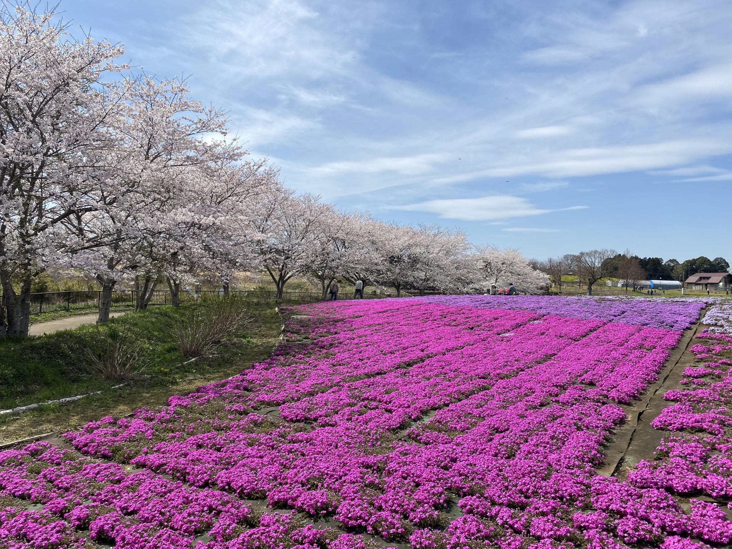 富田さとにわ耕園（千葉市富田都市農業交流センター）