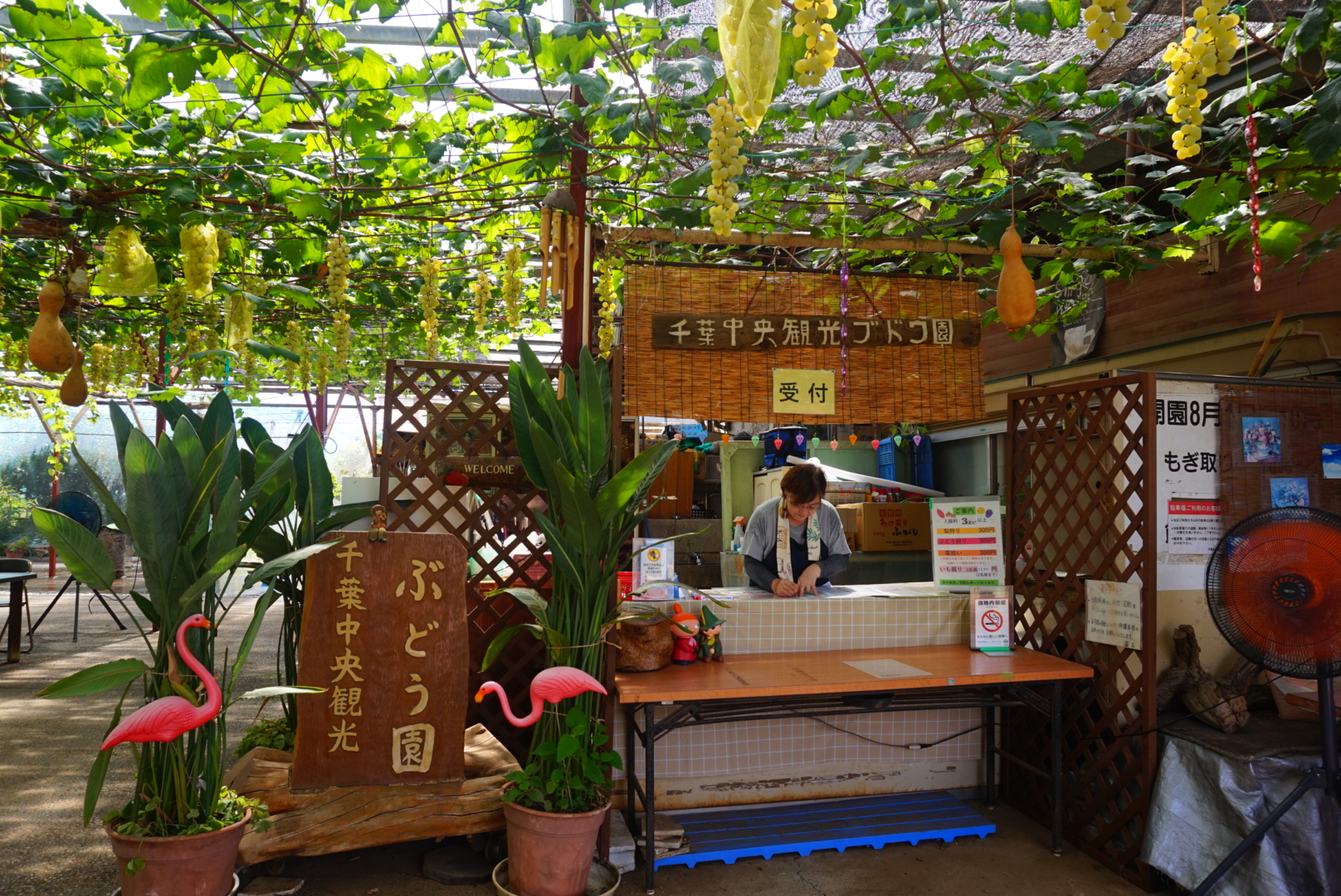 千葉中央観光農園