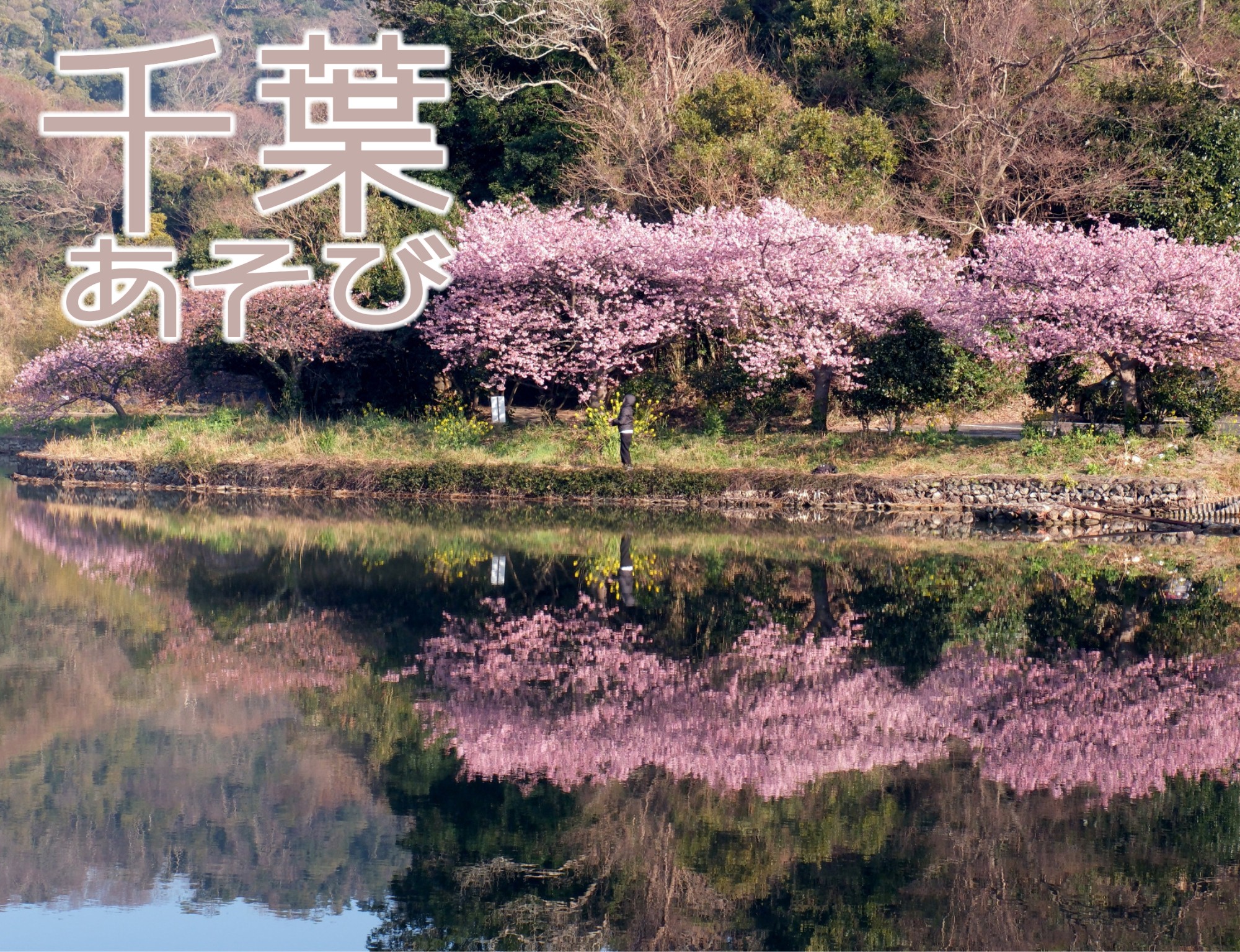 【千葉あそび】貸切バスで行く！ 古文書を読み解き源頼朝の足跡をたどる歴史探訪ツアー