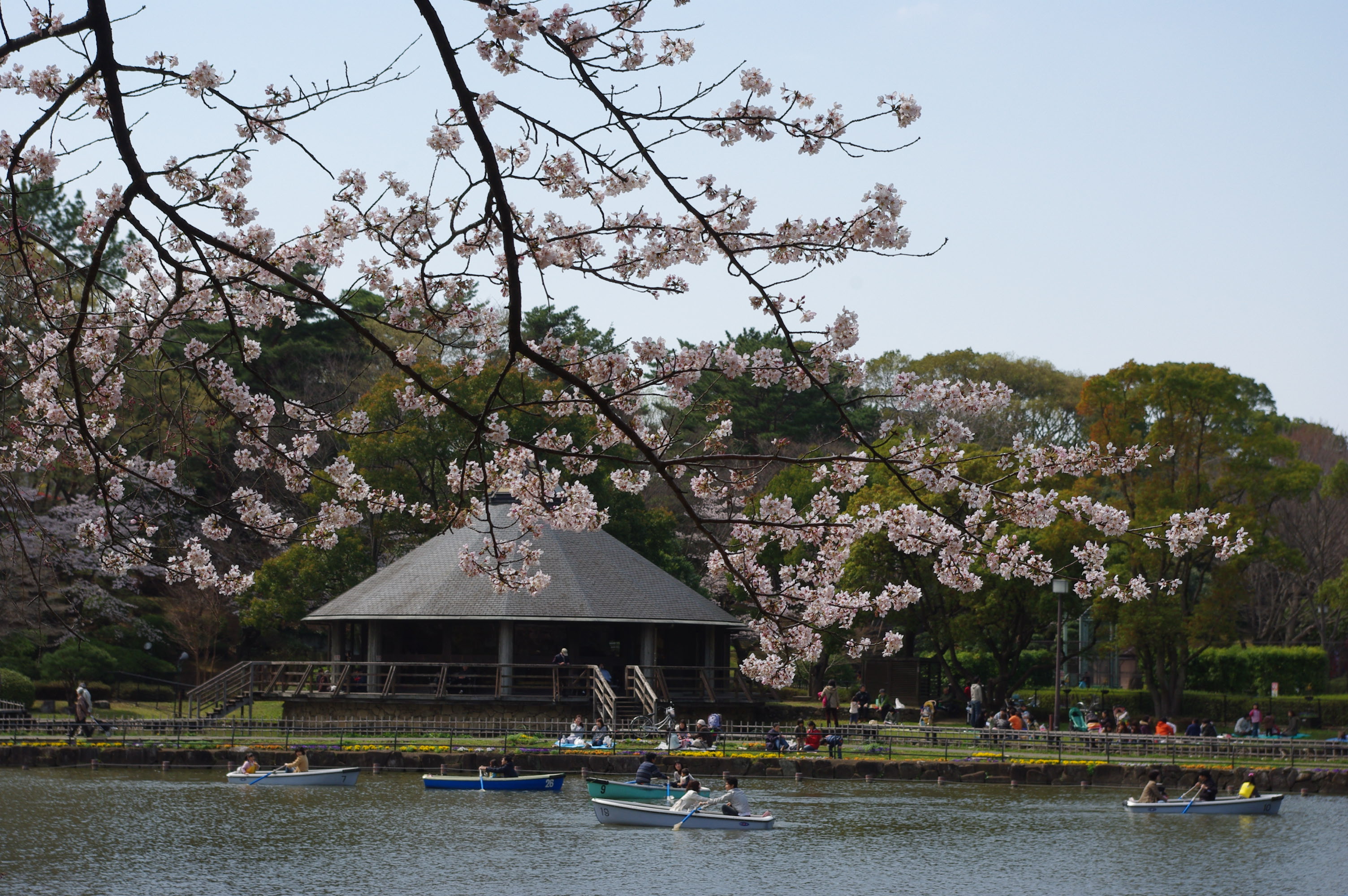 千葉公園 | 千葉市観光協会公式サイト／千葉市観光ガイド