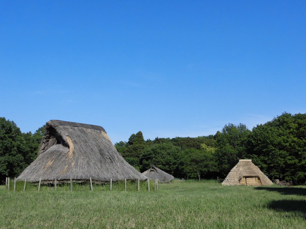 242e0919b03e7f1bdbded5ed063c6279