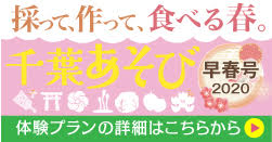 千葉あそび2020年早春号