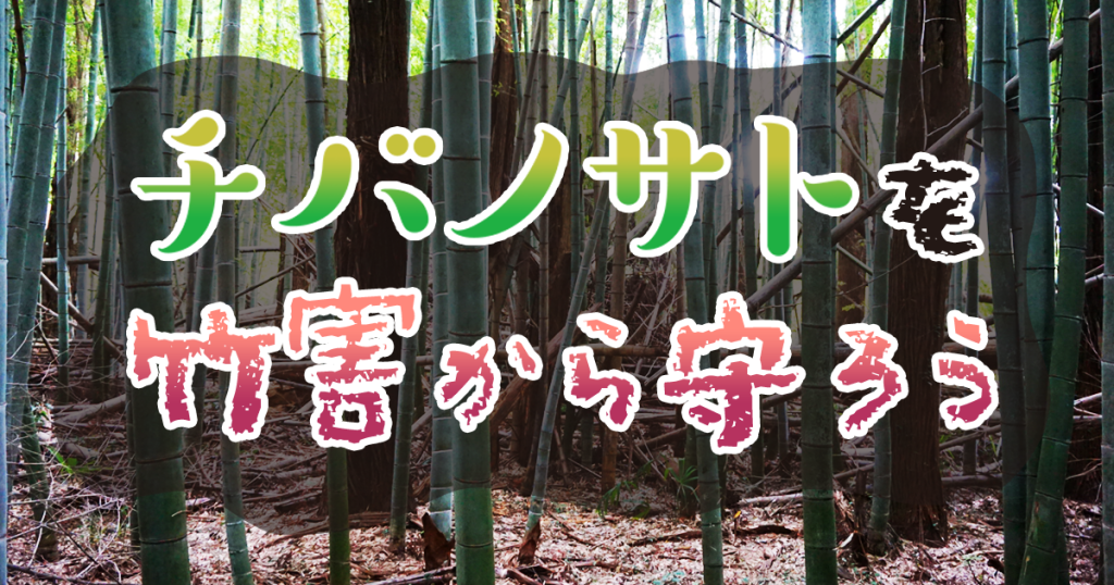 チバノサトを竹害から守ろう!