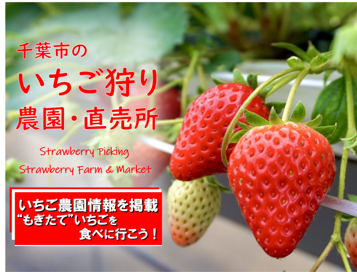 いちご狩りに行こう！2026