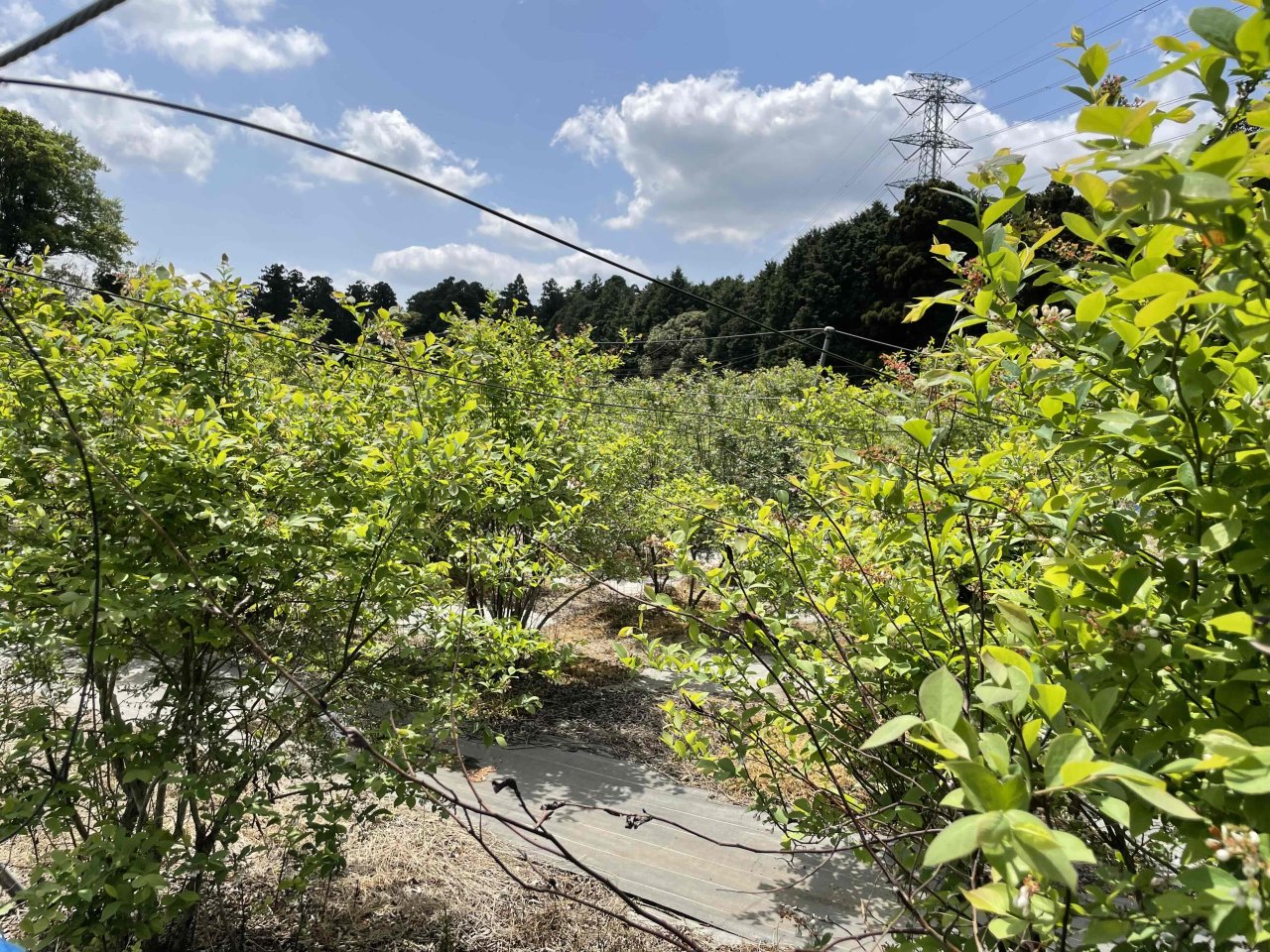 プランイメージ写真